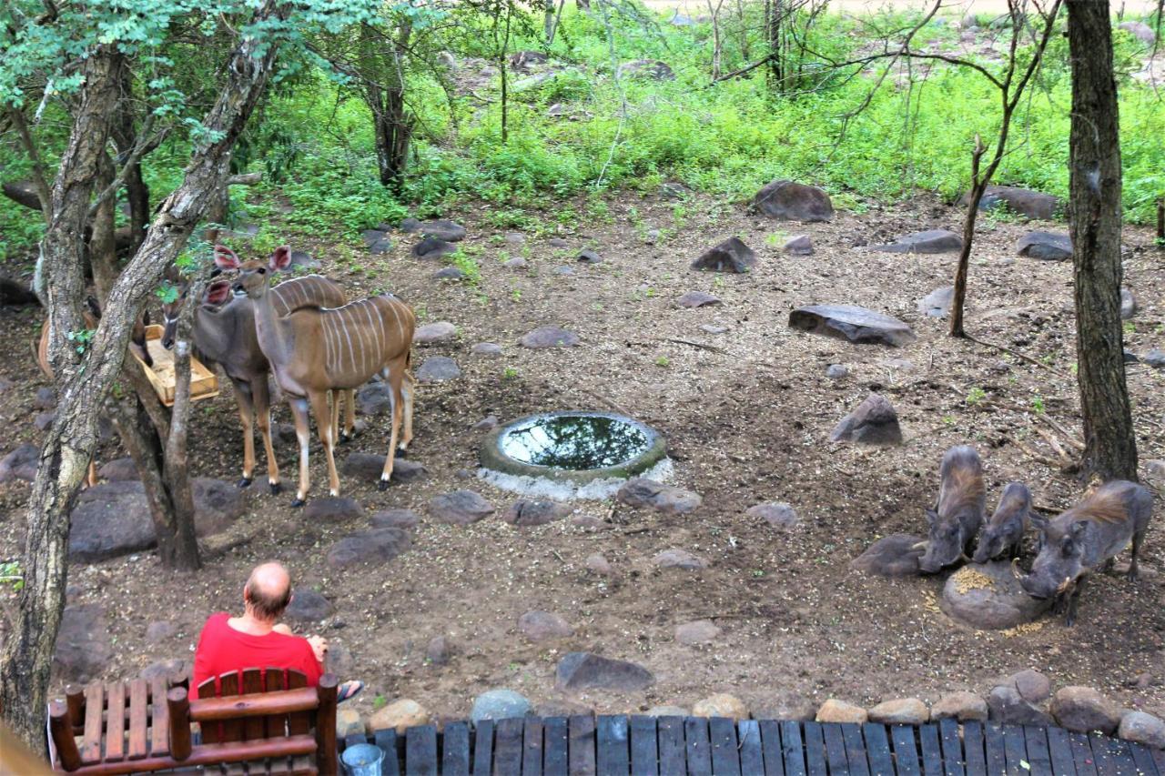 Kruger Kumba - Lahlekile Nathi Lejlighed Marloth Park Eksteriør billede